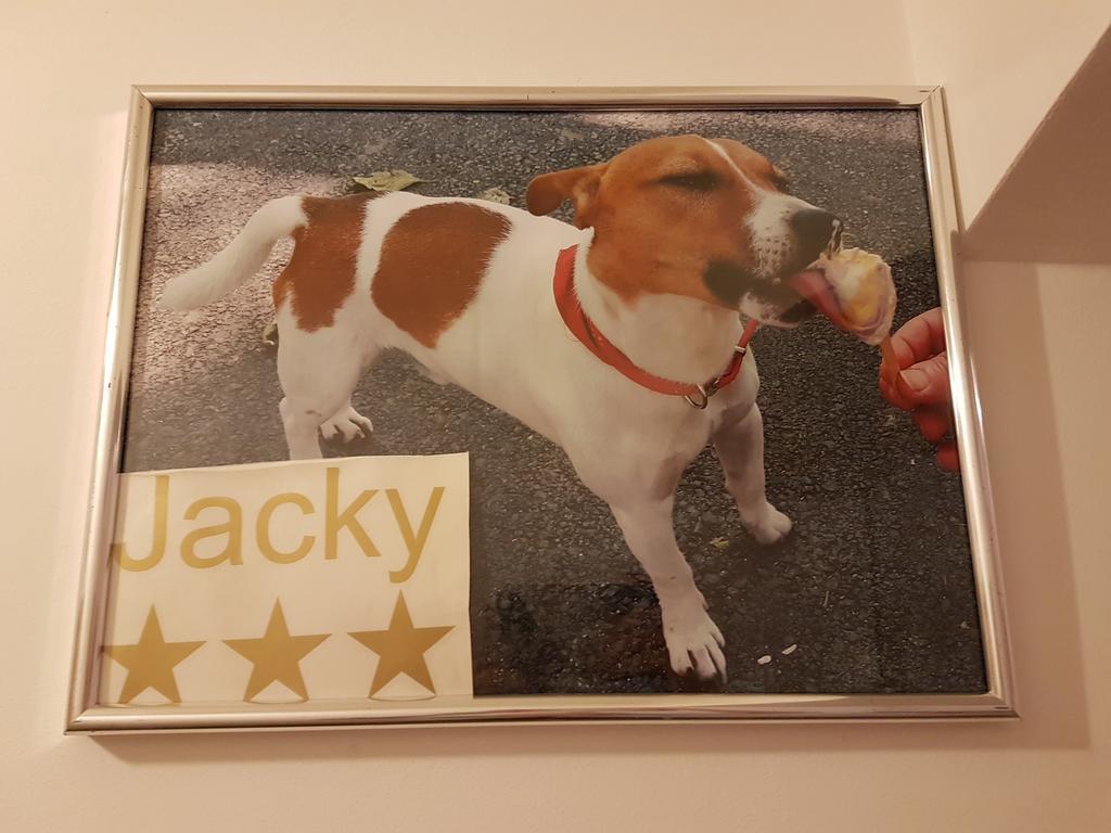 Jacky - City Centar زغرب المظهر الخارجي الصورة